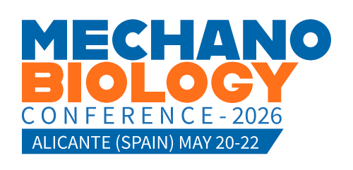 International Workshop Mechanobiology of Physiological Systems